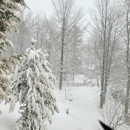 Orle Gniazdo 3* Szczyrk