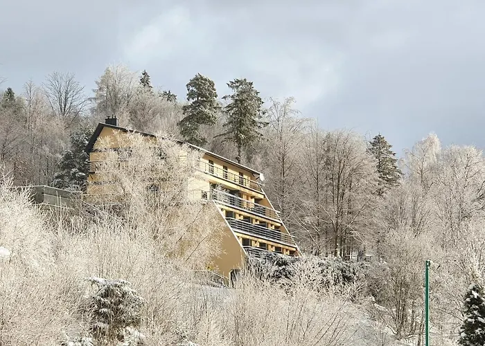 לינה וארוחת בוקר Orle Gniazdo 3*