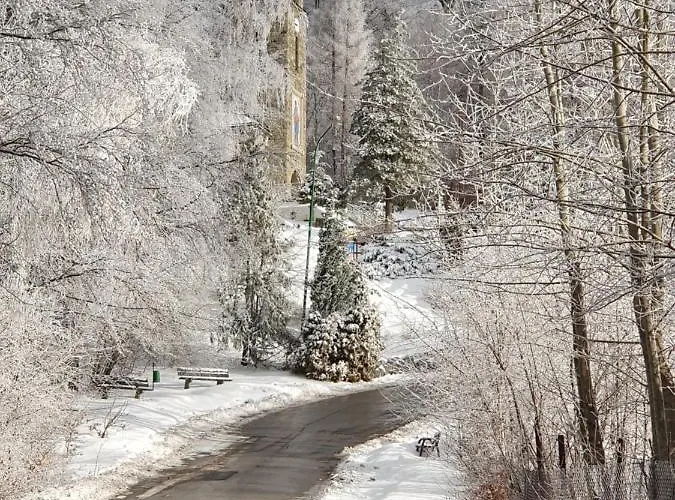 Orle Gniazdo Bed & Breakfast