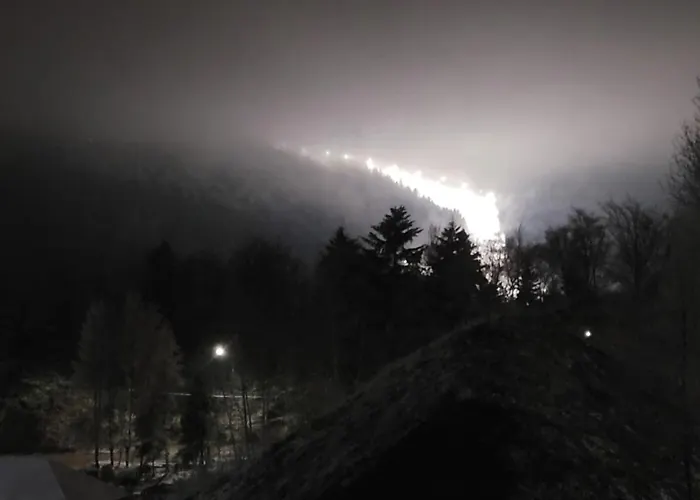 Orle Gniazdo Bed & Breakfast