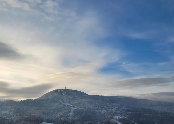 Orle Gniazdo לינה וארוחת בוקר 3*