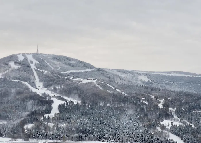 Bed & Breakfast Orle Gniazdo 3*