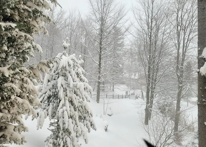 Orle Gniazdo 3* Szczyrk